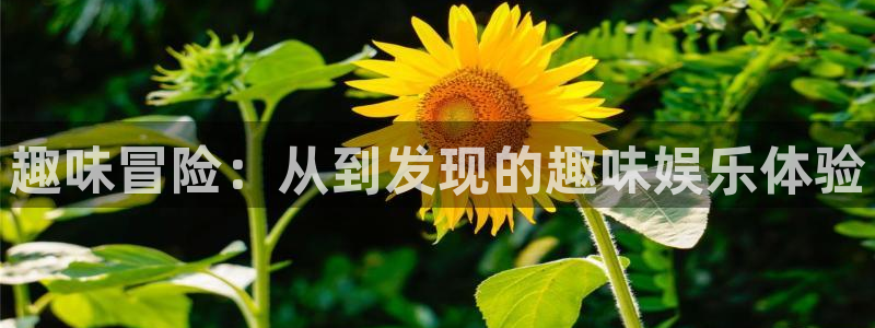 卧龙娱乐登录入口
