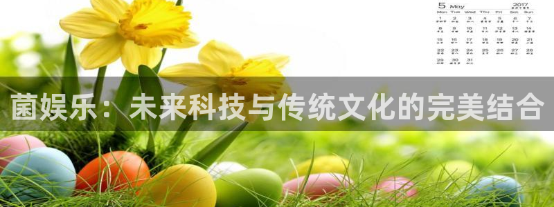 卧龙娱乐登录入口