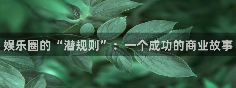 卧龙娱乐
