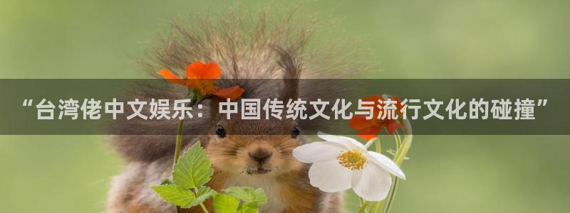 卧龙娱乐